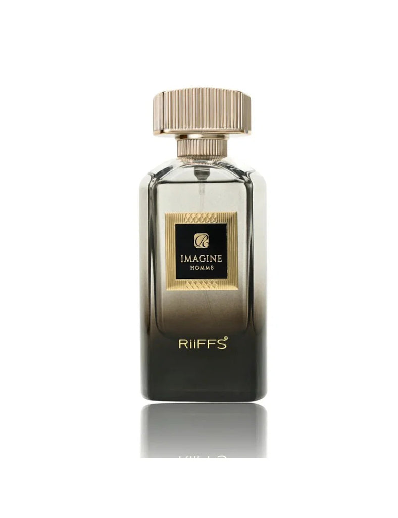 RIIFFS IMAGINE HOMME EDP 100ML